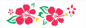 Stencil OPA 0496 - Flores Hibisco I - 10 x 30cm