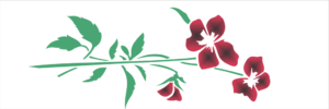 Stencil OPA 1458 - Flor Amor Perfeito - 10 x 30cm