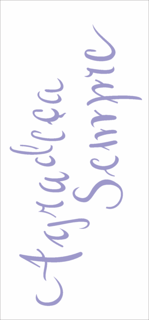 Stencil OPA 2487 - Frase Agradeça Sempre - 07x15cm