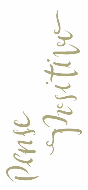 Stencil OPA 2489 - Frase Pense Positivo - 07x15cm