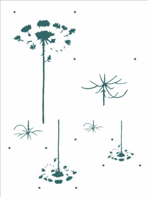 Stencil OPA 2928 - Country Brasil - Araucária - 15 x 20cm