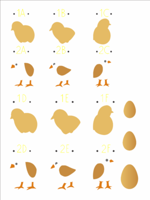 Stencil OPA 3201 - Pdbrasil Pintinho - 15 x 20cm