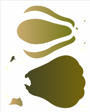 Stencil OPA 3214 - Pdbrasil Abóbora Pescoço - 20 x 25cm