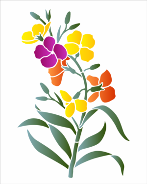 Stencil OPA 3358 - Flor Erysimum - 20 x 25cm