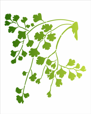 Stencil OPA 3367 - Plantas Avenca - 20 x 25cm