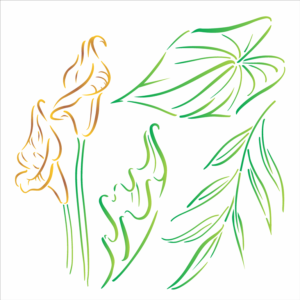 Stencil OPA 3368 - Orgânico Copo-De-Leite e Folhas - 30.5 x 30.5cm