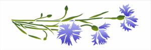 Stencil OPA 3459 - Flores Centaurea Cyanus - 10 x 30cm