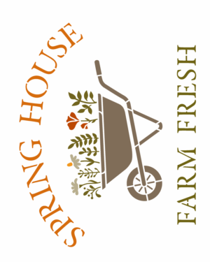 Stencil OPA 3660 - Farmhouse Spring House - 20 x 25cm