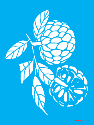 Stencil OPA 3788 - Feirinha Fruta do Conde - 15x20 cm