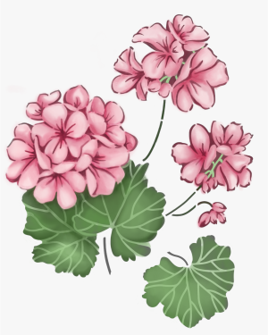 Stencil OPA 3801 - Flor Sombra Gerânios - 20x25 cm