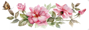 Transfer OPA 3825 - Flores Rosas - 10x30 cm