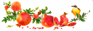 Transfer OPA 3828 - Frutas Romãs - 10x30 cm