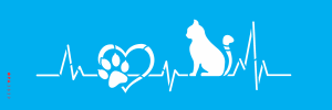 Stencil Opa 3839 - Pet Amor Por Gatinho - 10x30cm