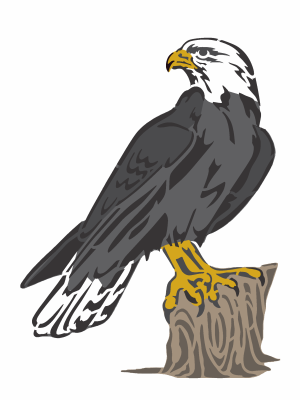 Stencil Opa 3843 - Animais Gavião - 15x20cm